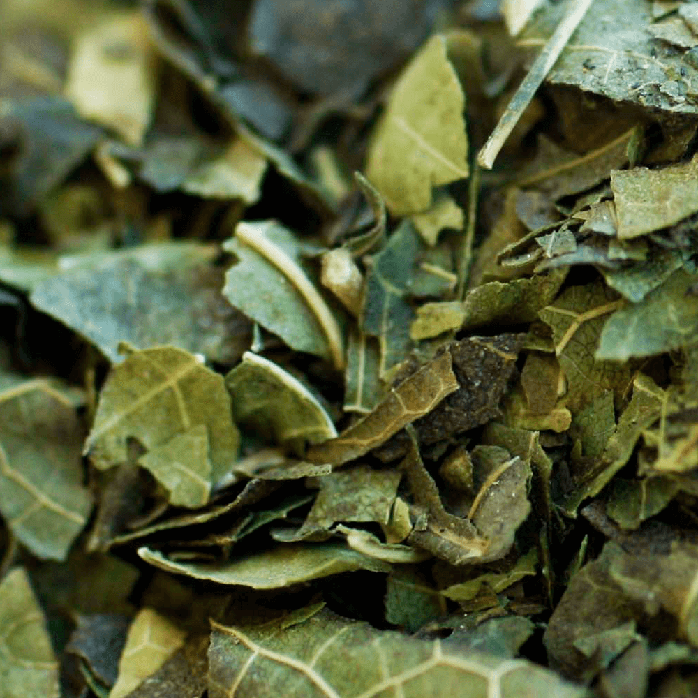 Chá Verde 100g